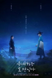 Моя любимая воровка